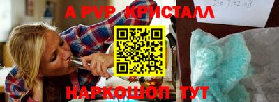 СК Владивосток