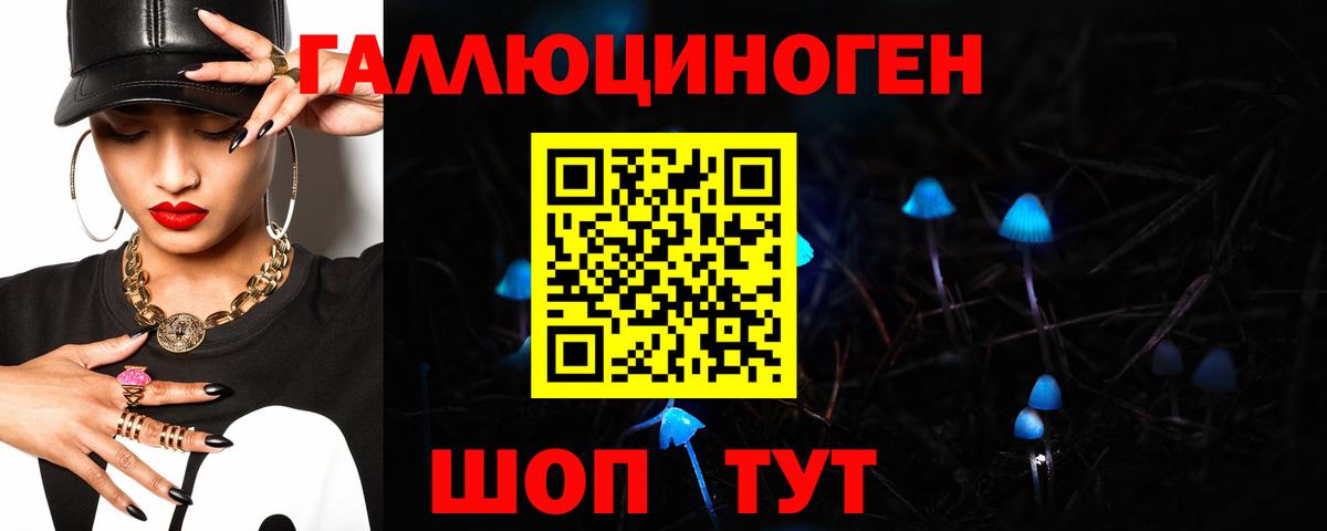 Кинель  Псилоцибиновые грибы GOLDEN TEACHER  что такое наркотик  Галлюциногенные грибы мухоморы  Вход с VPN 